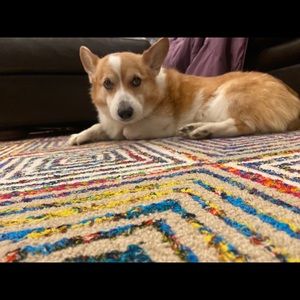 Thank you for visiting! PLEASE MAKE AN OFFER!